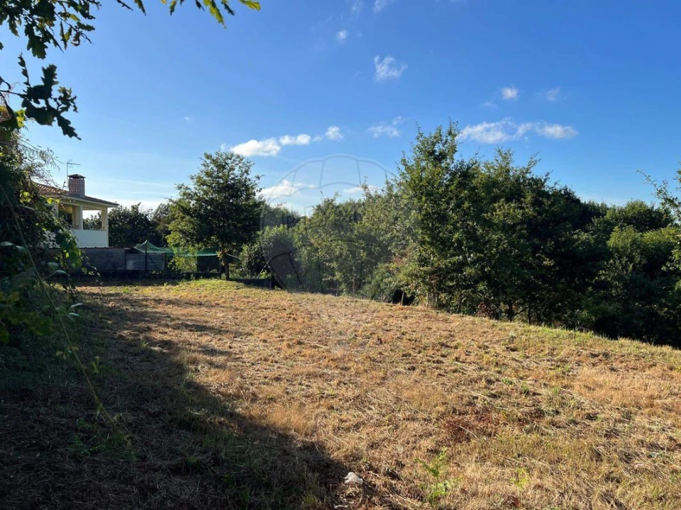 Terreno para Venda em Canedo, Vale e Vila Maior Foto 10