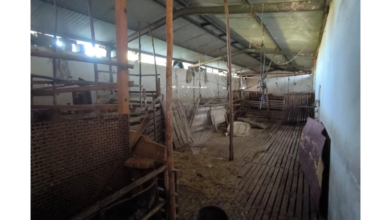 Terreno para Venda em Landal Foto 12