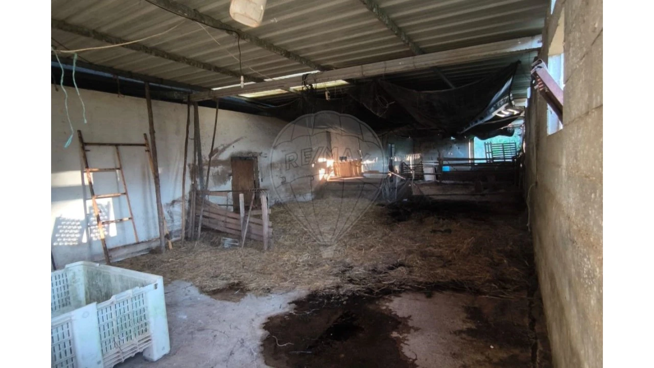 Terreno para Venda em Landal Foto 11