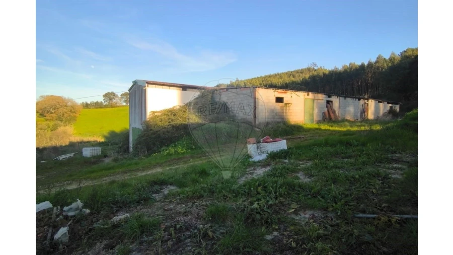 Terreno para Venda em Landal Foto 2