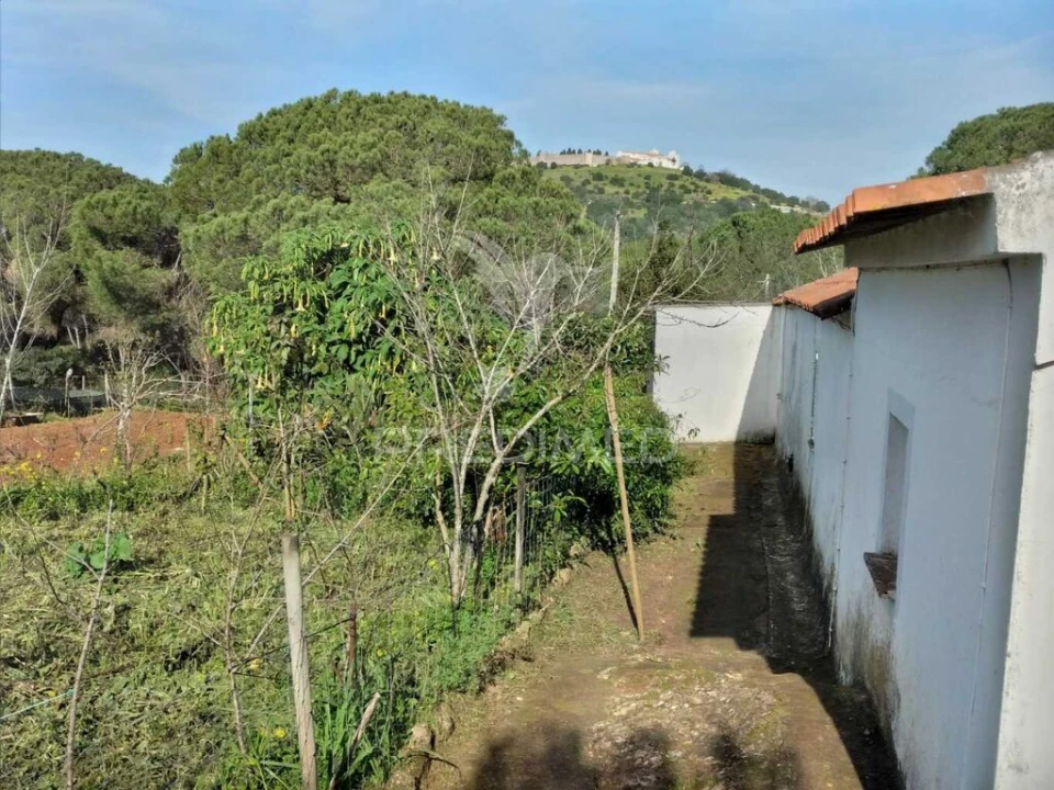 Quinta T3 para Venda em São Francisco da Serra Foto 8