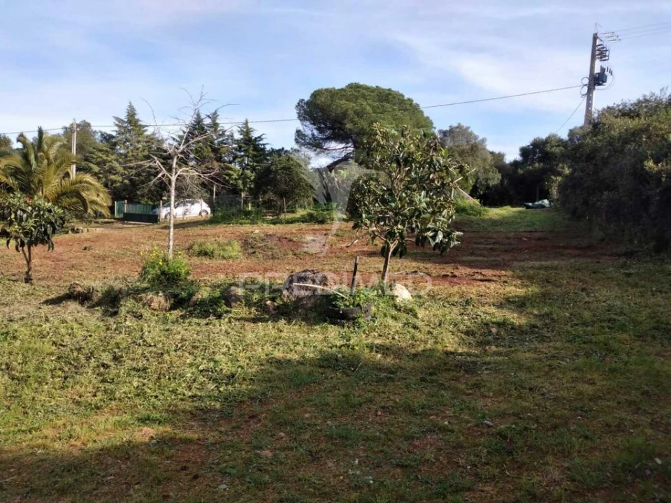 Quinta T3 para Venda em São Francisco da Serra Foto 20