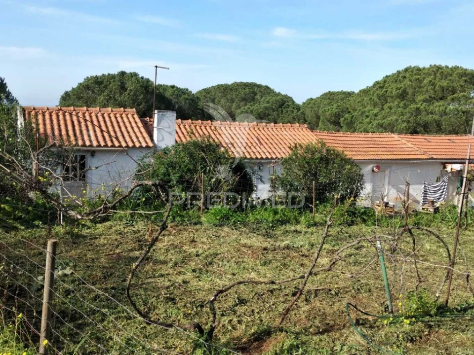 Quinta T3 para Venda em São Francisco da Serra Foto 7