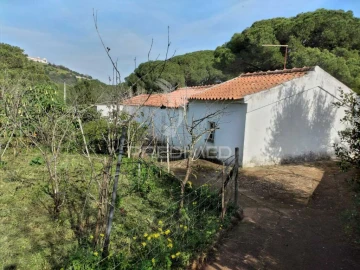 Quinta T3 para Venda em São Francisco da Serra