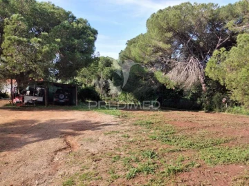 Quinta T3 para Venda em São Francisco da Serra