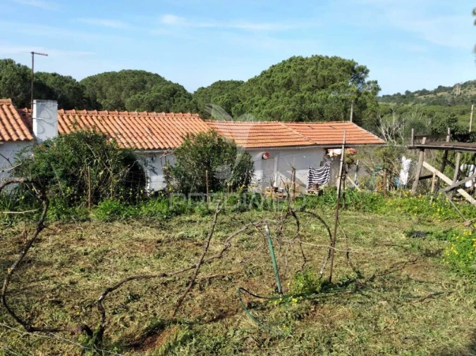 Quinta T3 para Venda em São Francisco da Serra Foto 6