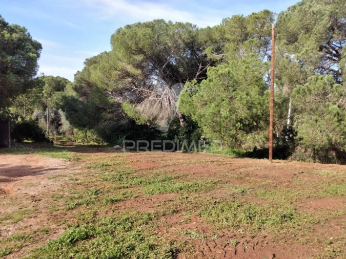 Quinta T3 para Venda em São Francisco da Serra Foto 18