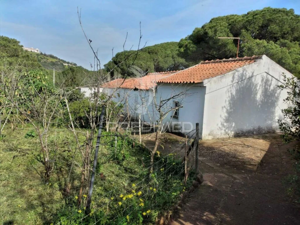 Quinta T3 para Venda em São Francisco da Serra Foto 4