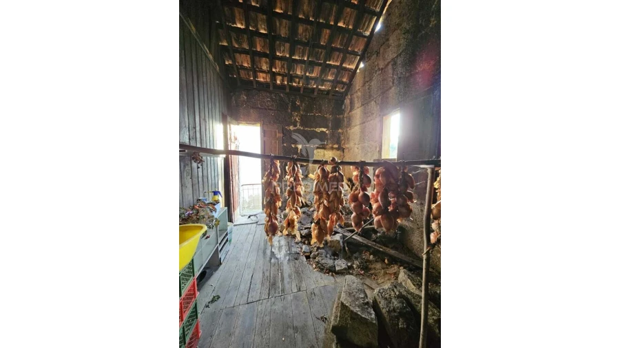 Moradia T3 para Venda em Silvares (São Martinho) Foto 9