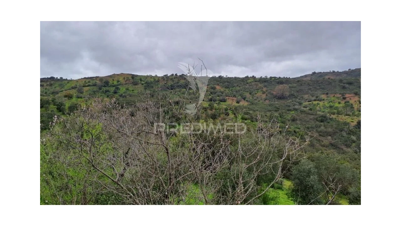 Terreno para Venda em Conceição e Cabanas de Tavira Foto 1