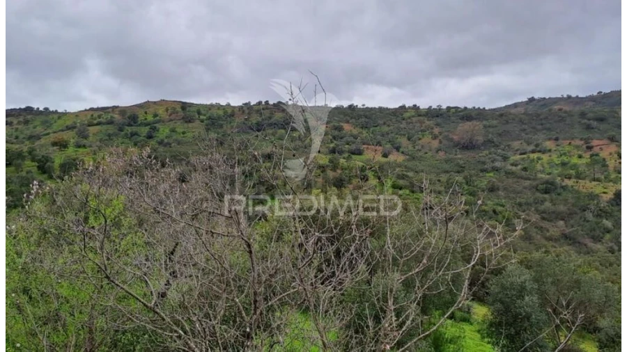 Terreno para Venda em Conceição e Cabanas de Tavira