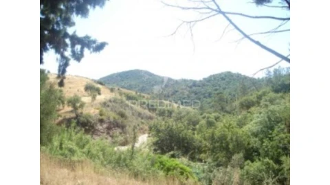 Terreno para Venda em São Brás de Alportel