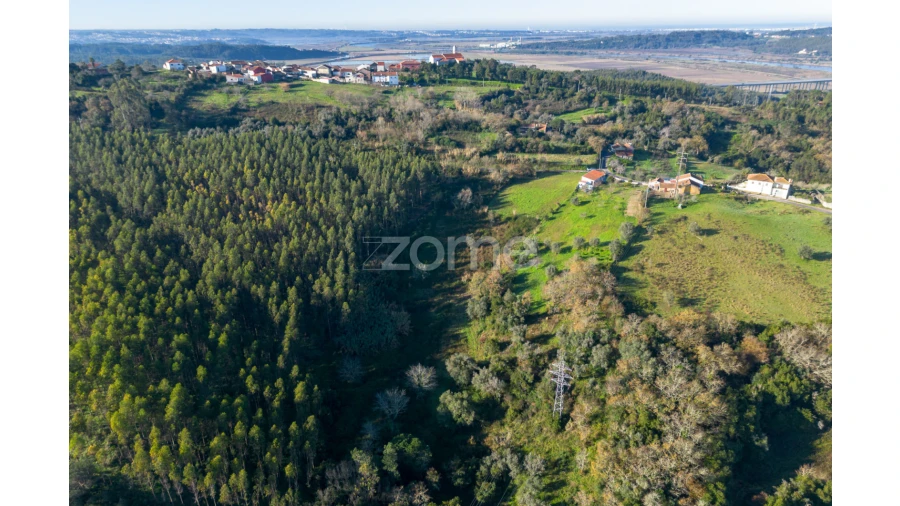 Terreno para Venda em Abrunheira, Verride e Vila Nova da Barca Foto 6