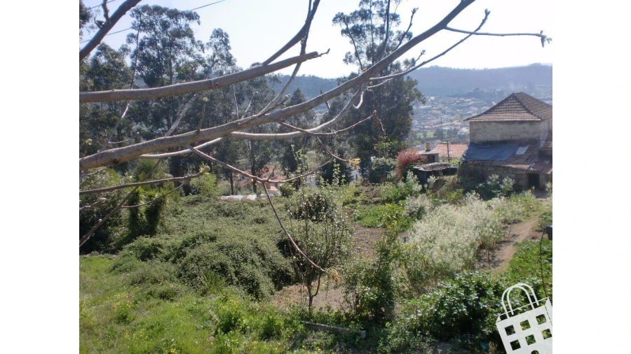 Moradia T2 para Venda em Sousela Foto 4