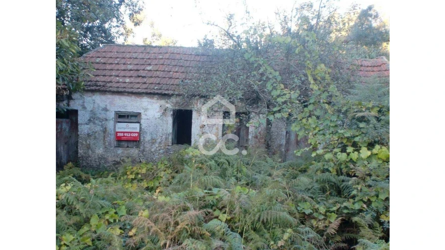 Moradia para Venda em Cernadelo e Lousada (São Miguel e Santa Margarida) Foto 3