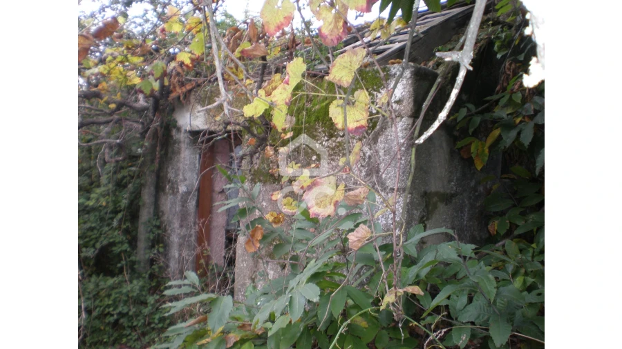 Moradia para Venda em Figueiras e Covas Foto 21