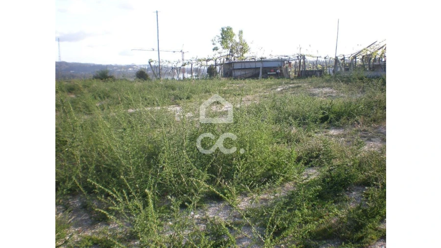 Terreno para Venda em Aveleda