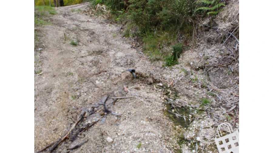 Terreno para Venda em Meinedo Foto 4