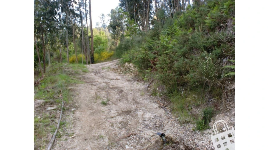 Terreno para Venda em Meinedo Foto 3