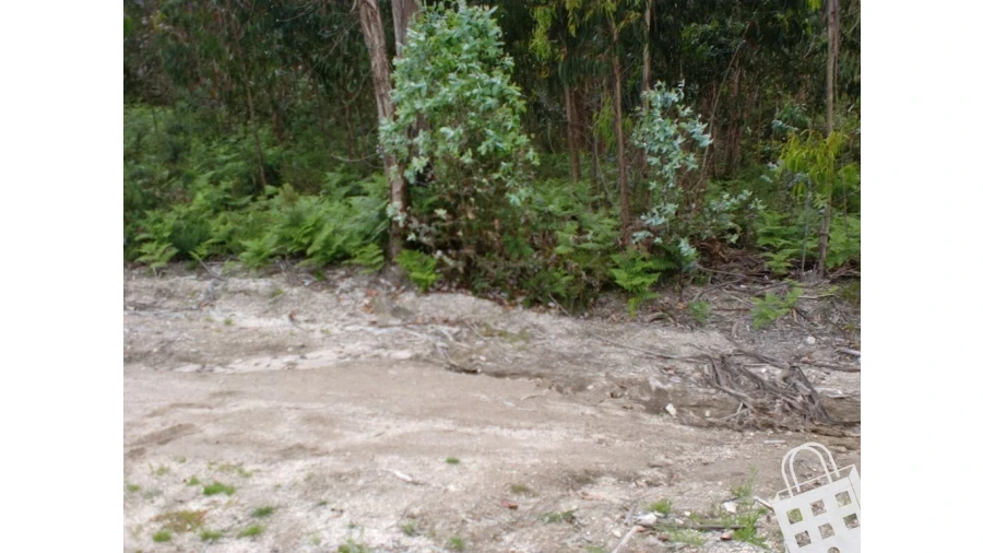 Terreno para Venda em Meinedo Foto 11