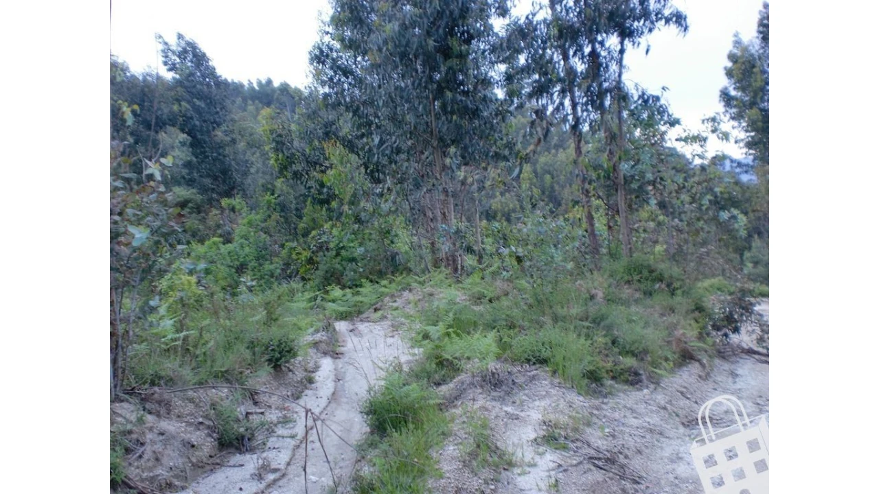 Terreno para Venda em Meinedo Foto 15