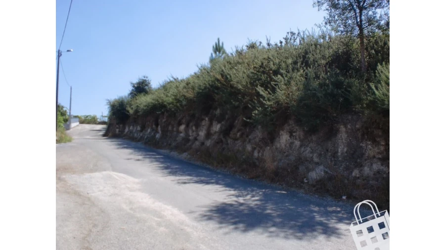 Terreno para Venda em Sousela Foto 3