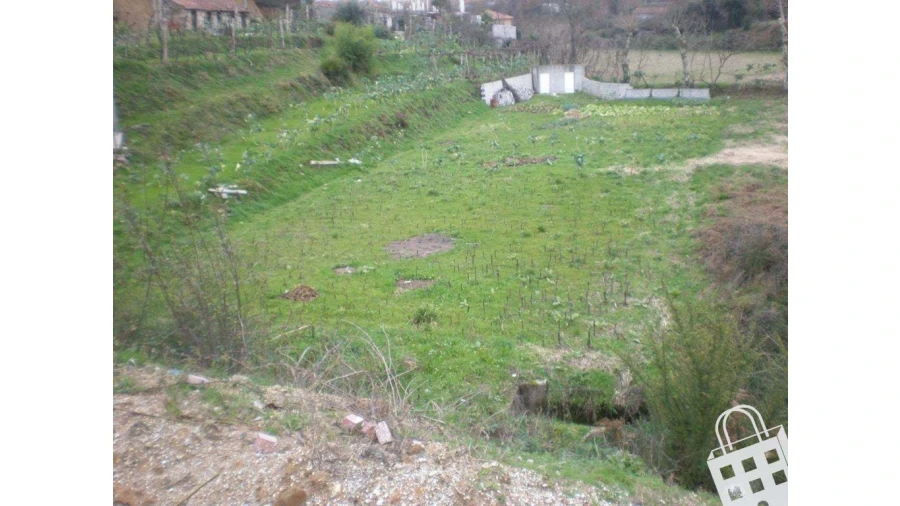 Terreno para Venda em Cristelos, Boim e Ordem Foto 5