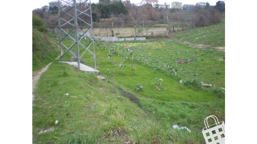 Terreno para Venda em Cristelos, Boim e Ordem