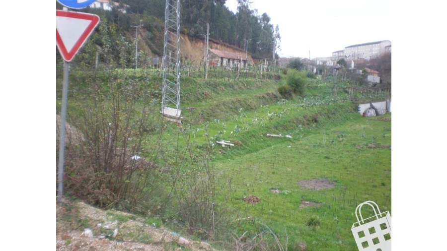 Terreno para Venda em Cristelos, Boim e Ordem Foto 6