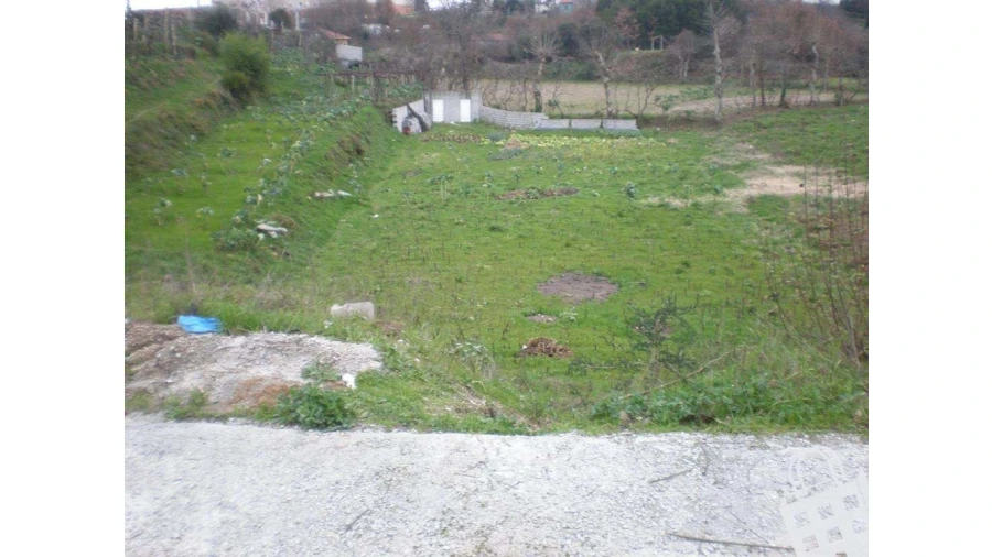Terreno para Venda em Cristelos, Boim e Ordem Foto 3