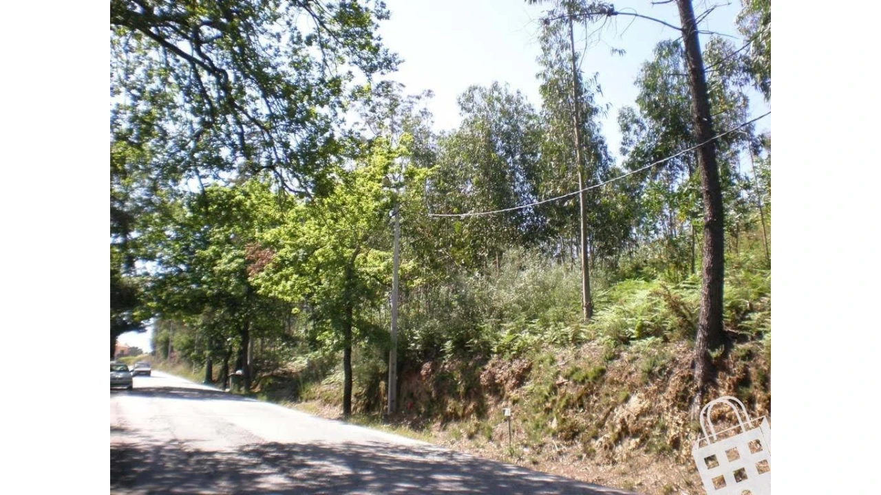 Terreno para Venda em Cernadelo e Lousada (São Miguel e Santa Margarida) Foto 4