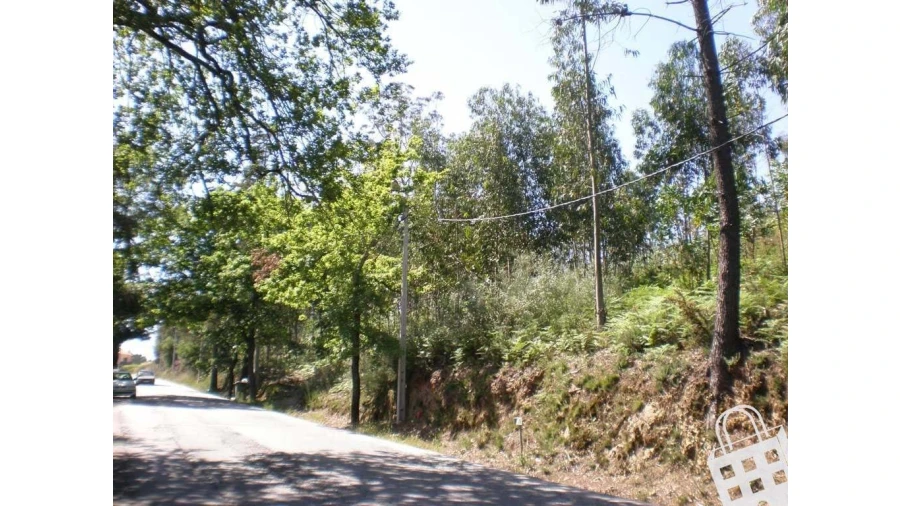 Terreno para Venda em Cernadelo e Lousada (São Miguel e Santa Margarida) Foto 4