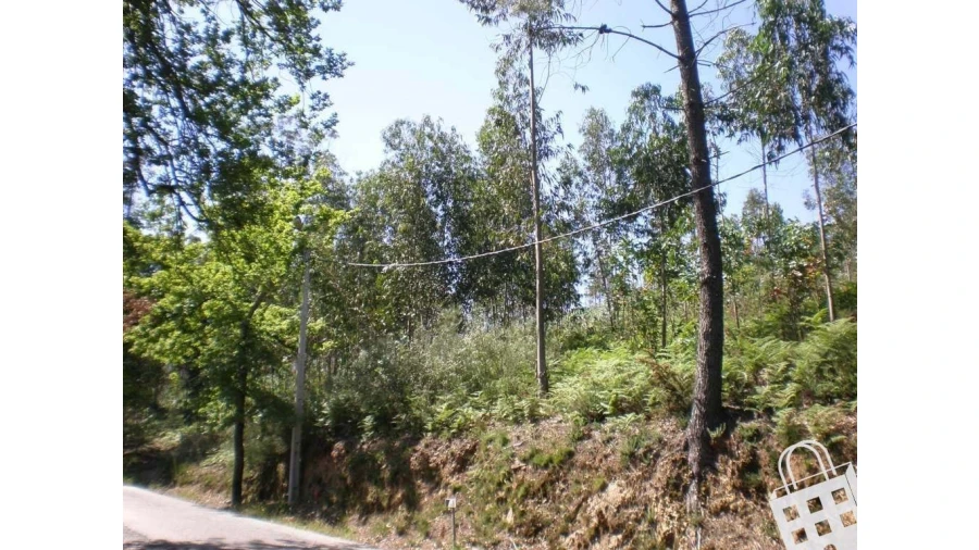 Terreno para Venda em Cernadelo e Lousada (São Miguel e Santa Margarida) Foto 3