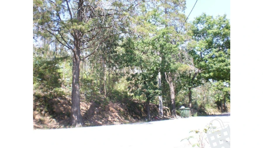 Terreno para Venda em Cernadelo e Lousada (São Miguel e Santa Margarida) Foto 1