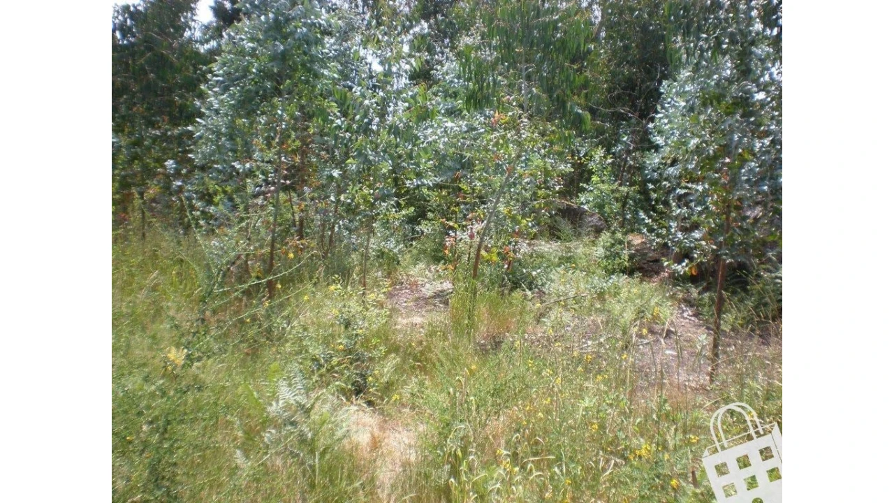 Terreno para Venda em Infias Foto 2