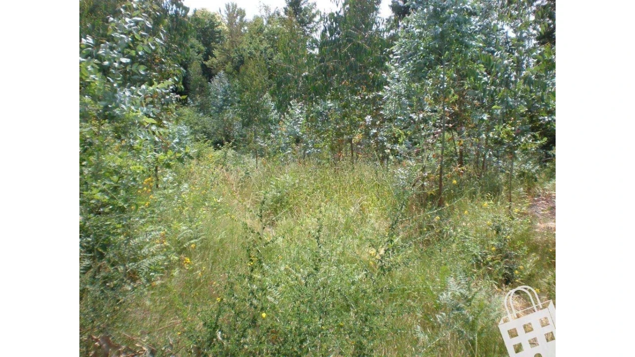 Terreno para Venda em Infias Foto 1