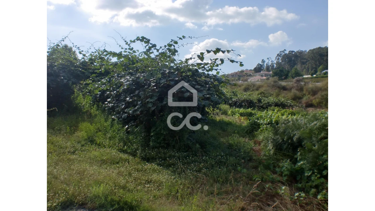 Terreno para Venda em Aveleda Foto 6