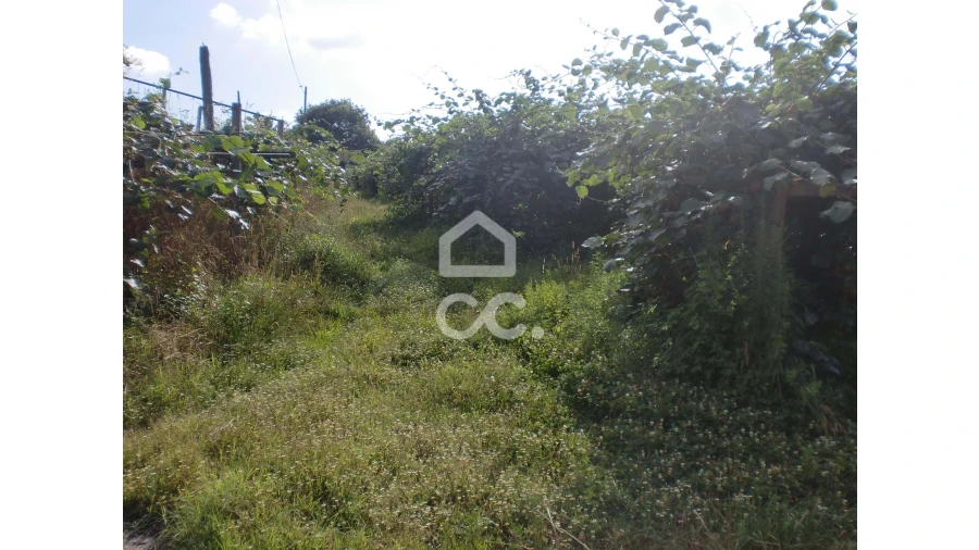 Terreno para Venda em Aveleda Foto 5