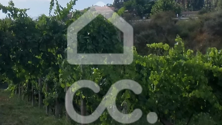 Terreno para Venda em Aveleda