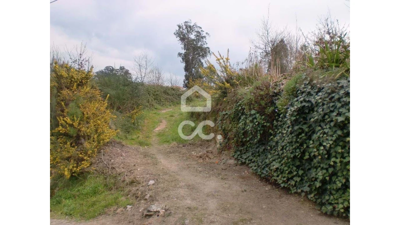 Terreno para Venda em Meinedo Foto 5