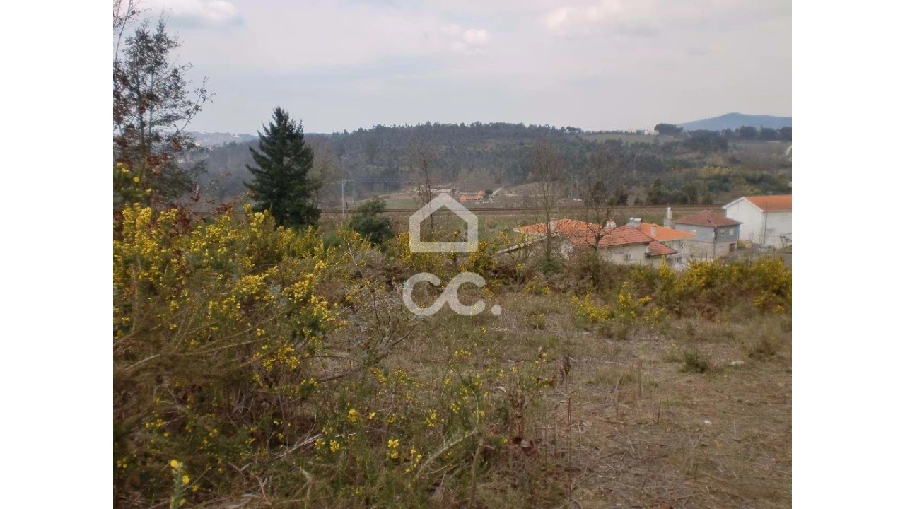 Terreno para Venda em Meinedo Foto 7