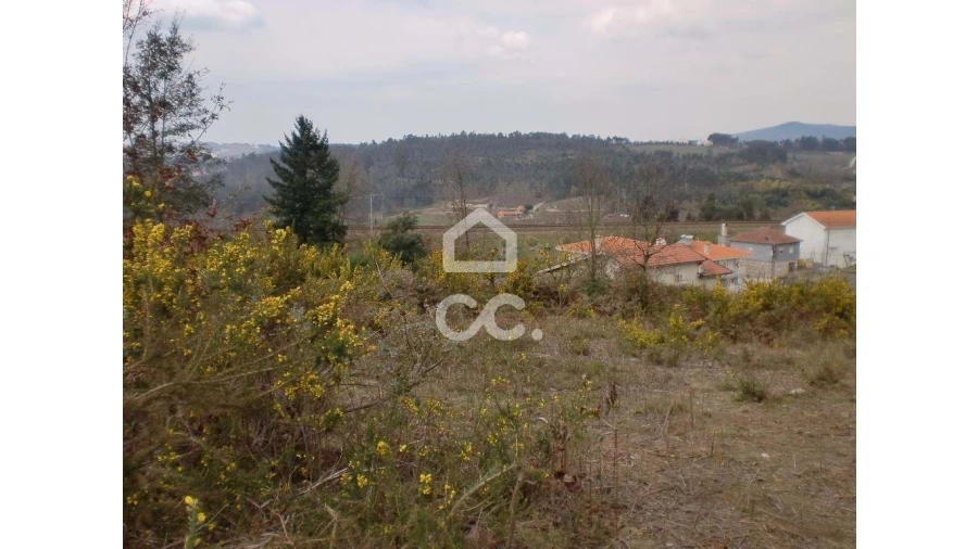 Terreno para Venda em Meinedo Foto 7