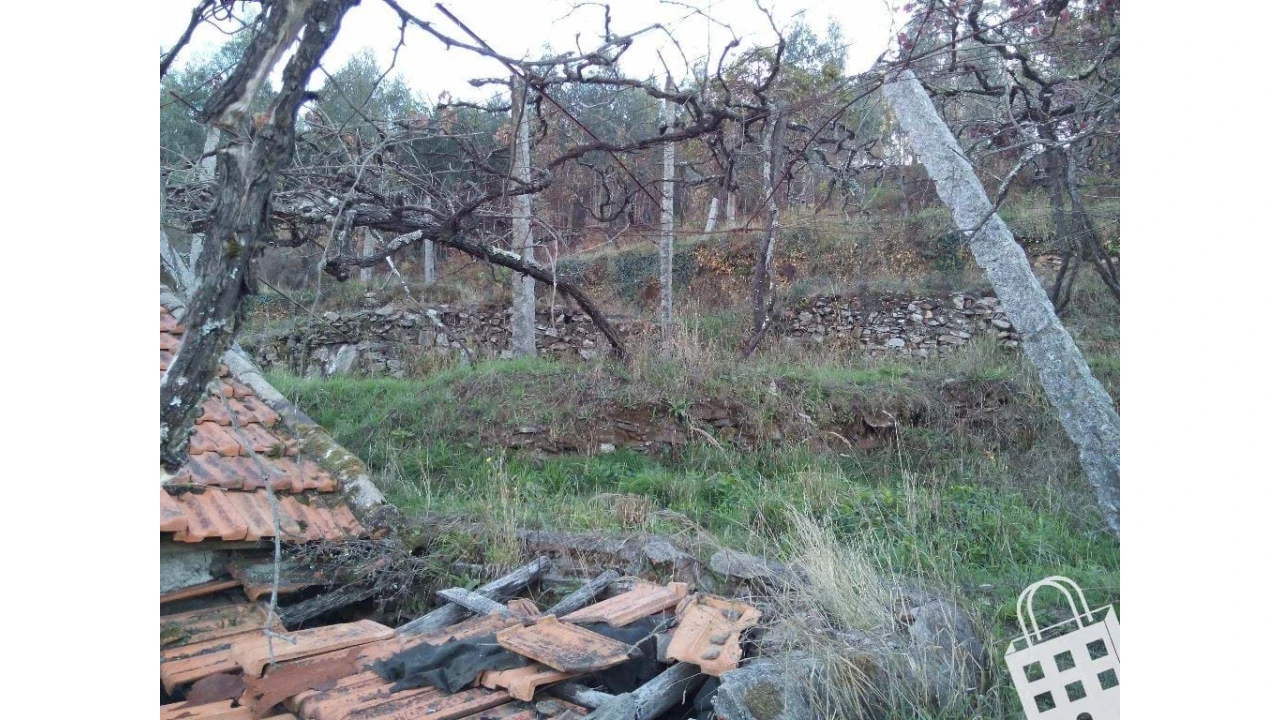 Moradia para Venda em Cernadelo e Lousada (São Miguel e Santa Margarida) Foto 11