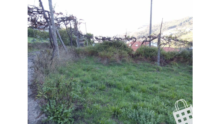 Moradia para Venda em Cernadelo e Lousada (São Miguel e Santa Margarida) Foto 5
