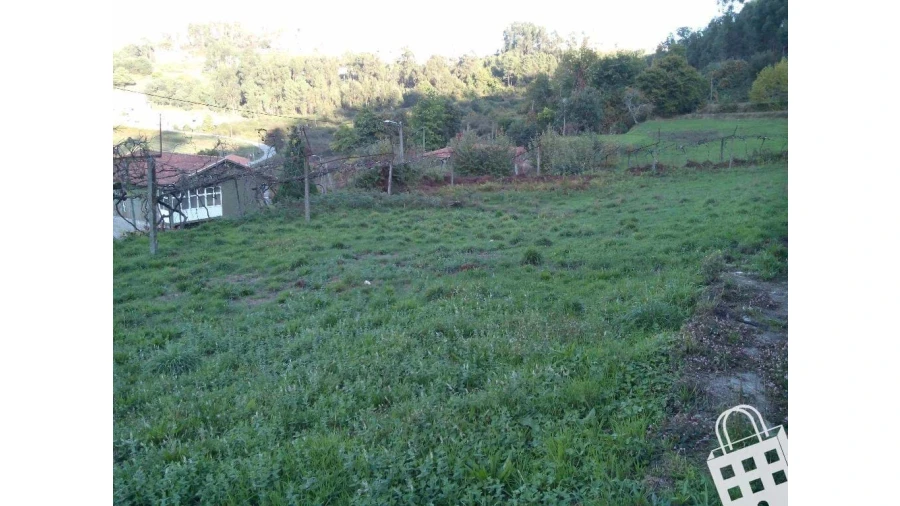 Moradia para Venda em Cernadelo e Lousada (São Miguel e Santa Margarida) Foto 4