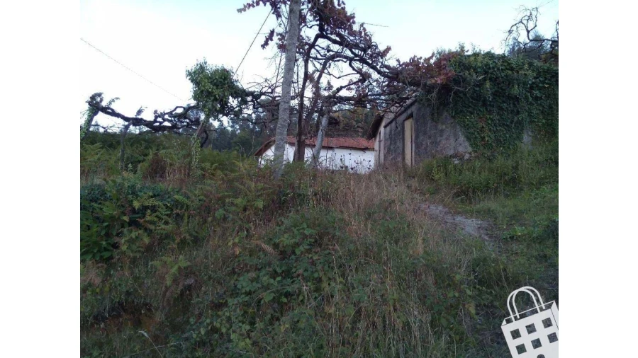 Moradia para Venda em Cernadelo e Lousada (São Miguel e Santa Margarida) Foto 15