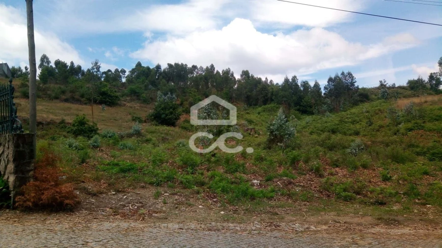 Terreno para Venda em Freamunde Foto 7