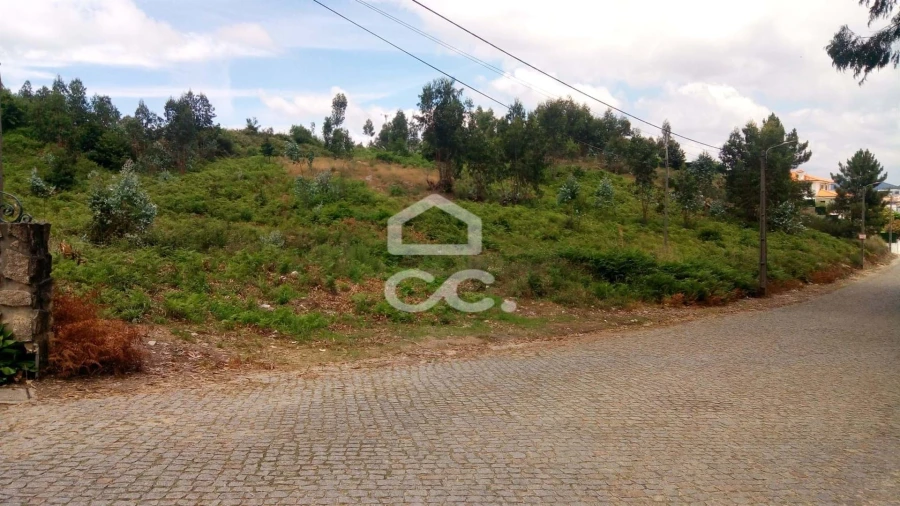 Terreno para Venda em Freamunde Foto 4