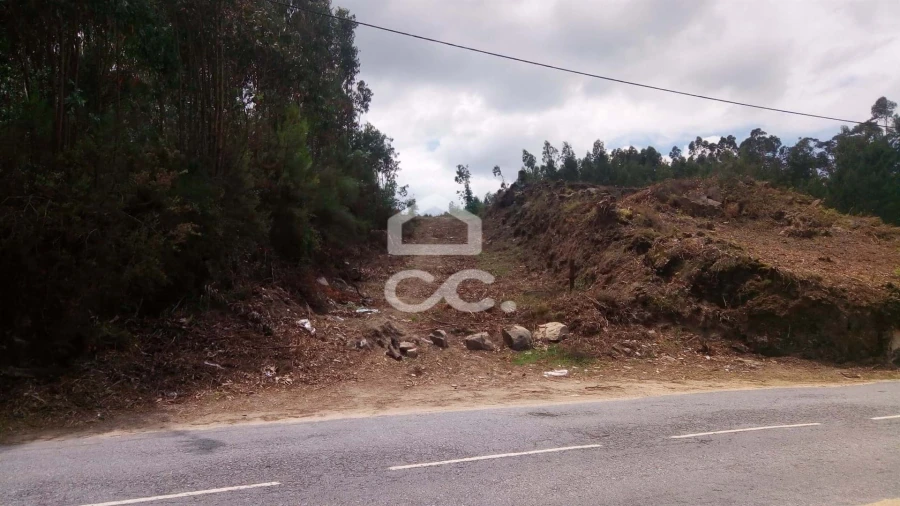 Terreno para Venda em Freamunde Foto 3