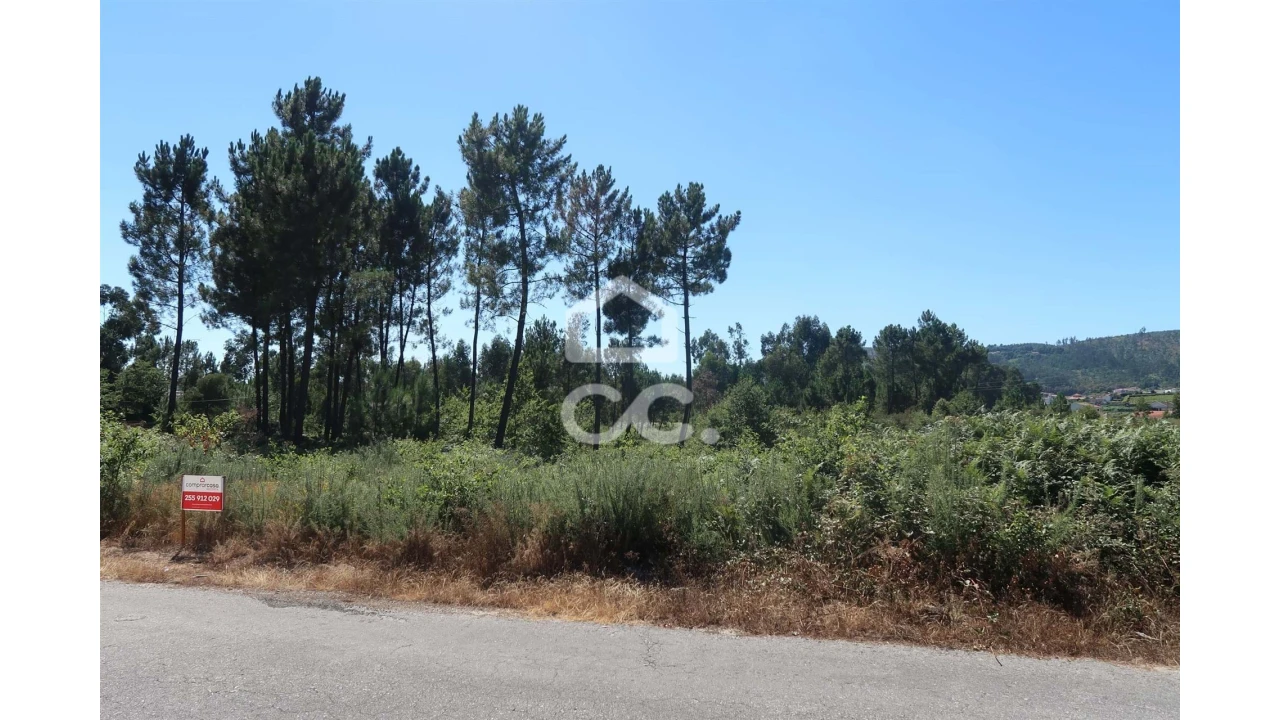 Terreno para Venda em Beire Foto 5